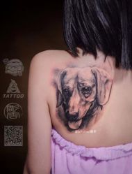 -雕哥的纹身店A3 TATTOO&纹身培训