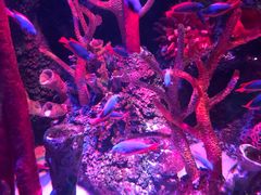 -沈阳海洋探索中心