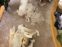 -滇釜火锅·能喝汤的火锅(车公庄店)