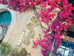 -前海沿·青岛菜(李沧万达店)