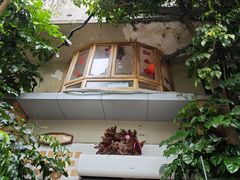 -野草莓自由市场