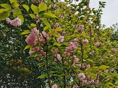 -杭州城北体育公园