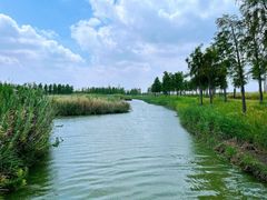 -春花秋色城市公园