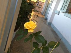 -朗韵钢琴学校(中环金界店)