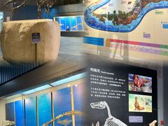 -中华赏石园