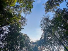 -缙云山景区