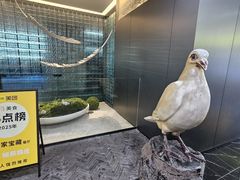 -琬苑鸽庄·川粤融合菜(解放碑总店)