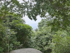 白架顶-火炉山森林公园