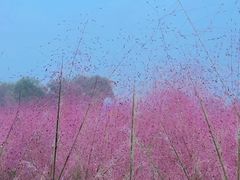 -汉长安城未央宫国家考古遗址公园