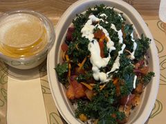 -油梨树 AVOCADO TREE(亮马桥店)