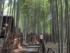 -宝岩生态观光园