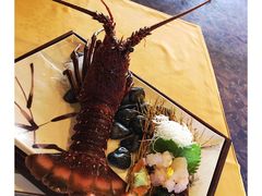 -活伊势龙虾料理 中纳言(千日前味乐馆店)