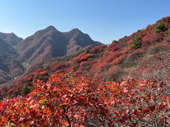 -水峪民俗村