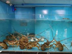 -壹号港海鲜酒楼