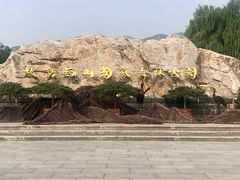 -北京西山国家森林公园