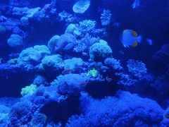 -太平洋海底世界