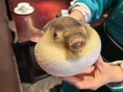 -永安鱼庄·镇江菜(东吴路店)