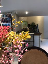 -ＤＯＭＯプロの美容サロン