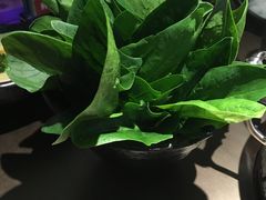 菠菜-左庭右院鲜牛肉火锅(新梅广场店)