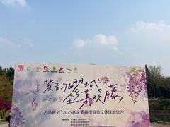 -嘉定紫藤园