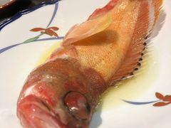 雞汁蒸紅丁魚-潮汕味道·煮海餐厅(金麟大厦店)