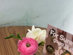 -gaga(深圳南山益田假日广场店)