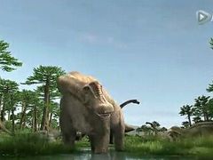 -嘉百乐超市(新东街店)