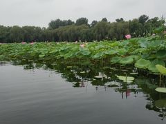 -摆渡酒吧(后海店)