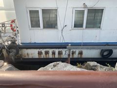 -海河外滩公园
