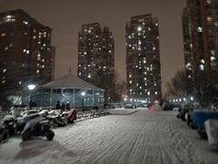 -美联众合动物医院·24h转诊中心