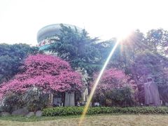 -岳王庙
