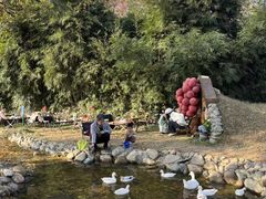 -HERRE·FARM 赫尔露营农场·团建聚会包场