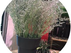 -新石器烤肉(招商1872店)