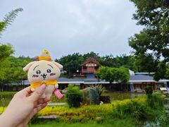 -湖泉半山温泉