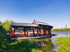 -洛龙公园