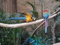 -杭州开元森泊度假乐园