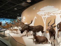 -陕西自然博物馆