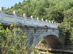 -白水寺森林公园