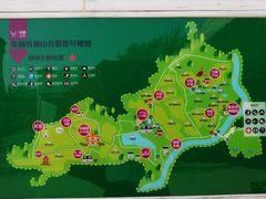 -紫颐香薰山谷景区