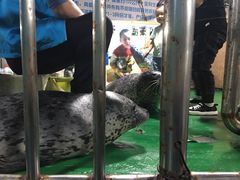 -嘉兴海底世界