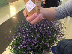 -美芝莲(领展购物广场中关村店)