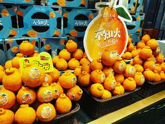 -眉州东坡·熊猫主题餐厅(枫蓝店)