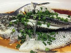 -洛阳宴·洛阳菜(南昌路店)