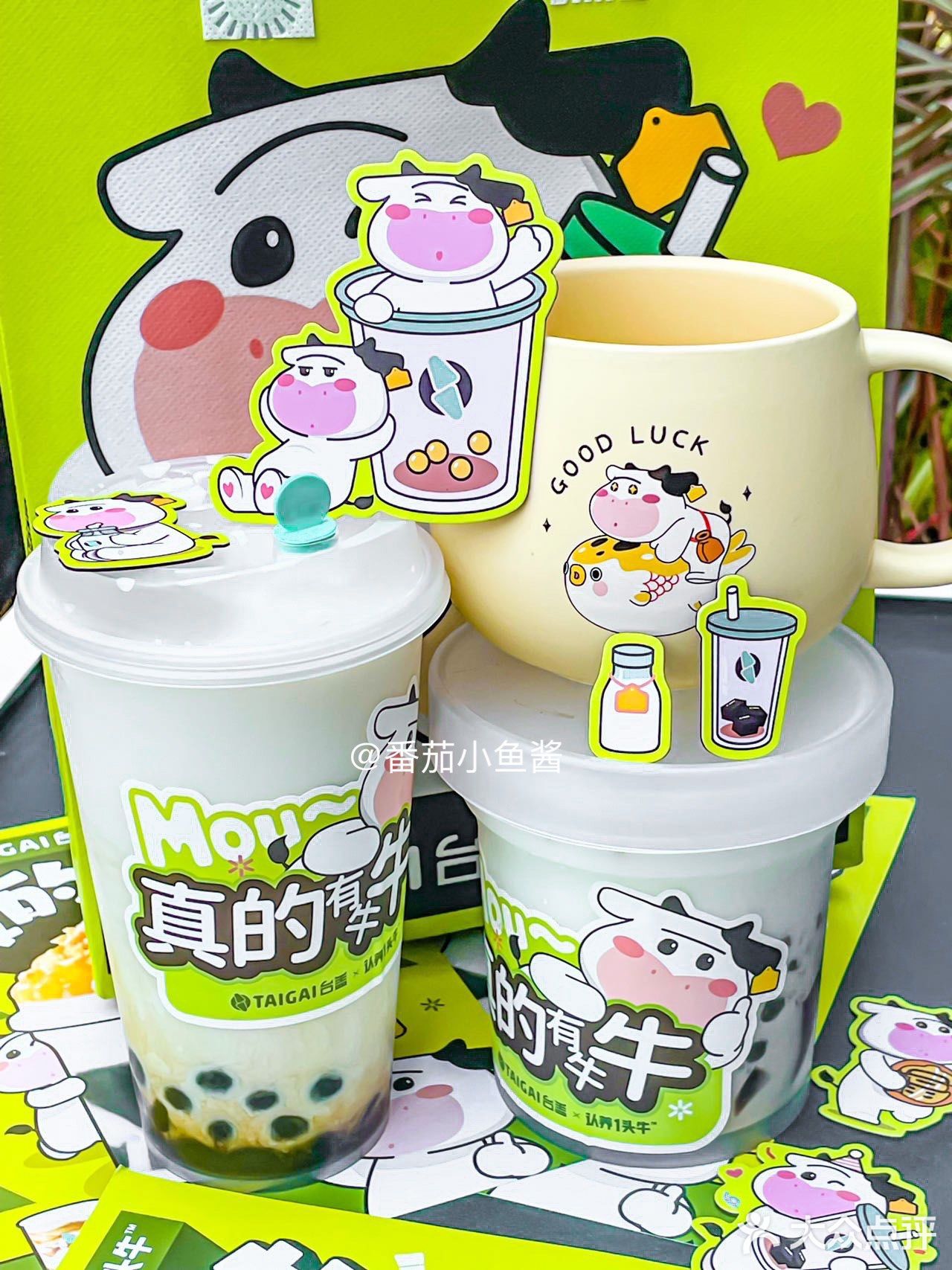 深圳奶茶之光！！奶乎乎的多料桶桶！！只要13r