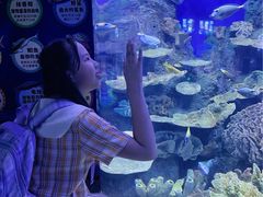 -左海海底世界