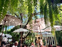 -Fern Forest Cafe