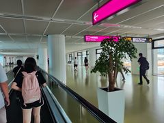 -郑州新郑国际机场-T2航站楼