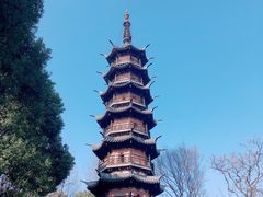 -上海佘山国家森林公园西佘山园