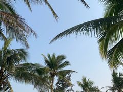 -西秀海滩公园