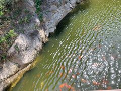-北京凤凰岭